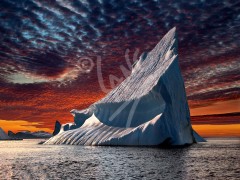 Twillingate, iceberg sunset